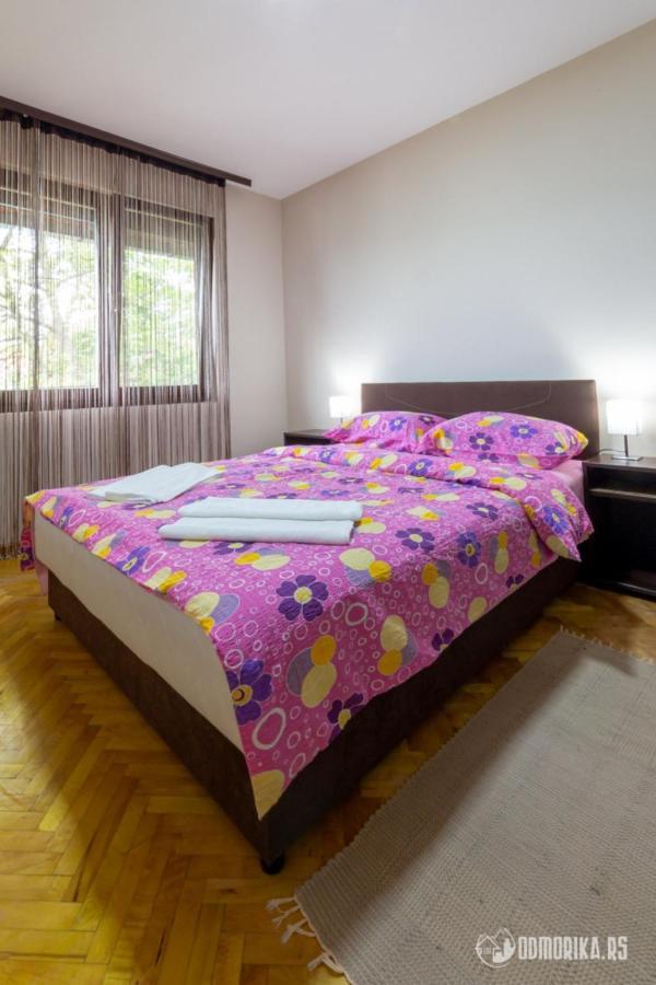 באינה באשטה Apartmani Nina S מראה חיצוני תמונה